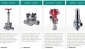 法国爱兰德Ireland Valves 低温阀185946-AGH-03